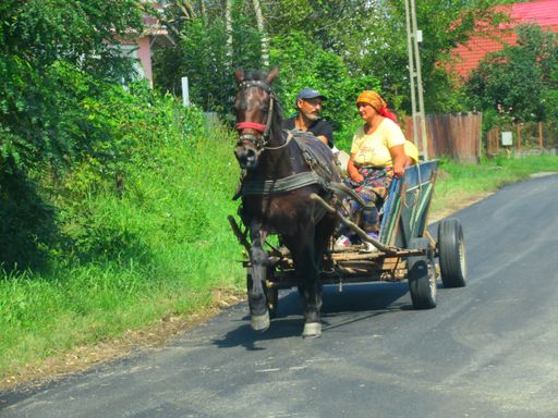A county in Northern Romania, in the region of Moldova, has almost as many horse-drawn carts as it has cars.