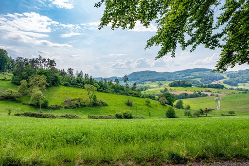 if you like nature, come to the Odenwald