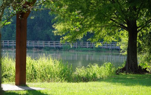 A scenic shot of a lonely tree and a wooden column against the beautiful pond