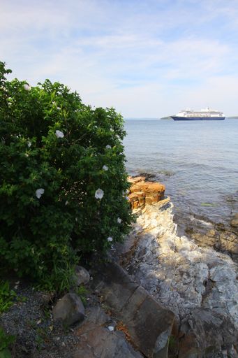 A vertical shot of Frenchman Bay seen from the Ocean Path in Bar Harbor, Maine