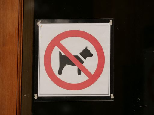 A closeup shot of a forbidding dog sign