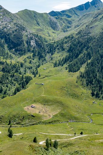 A vertical shot of green mountains and a valley with fir trees