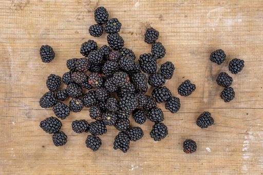 Black ripe wild blackberries lie on a wooden table