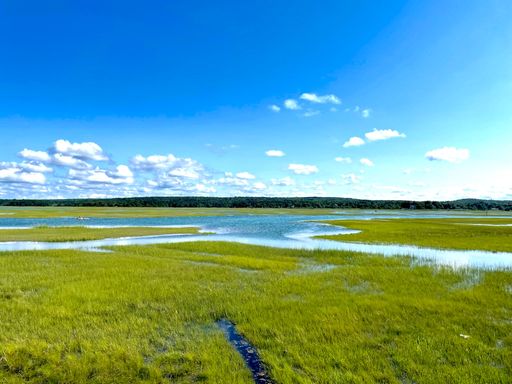 A scenic green field with water in it under the blue sky