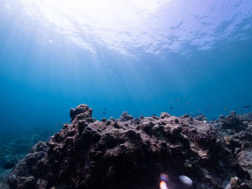 A scenic shot of a huge stone under the water