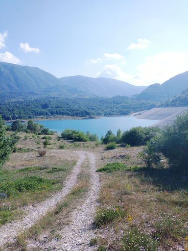 A vertical shot of a beautiful lake near the forest in Diga di Arcichiaro, Italy