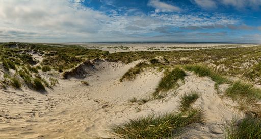 A beautiful shot of a sandy shore with green grass growing under the cloudy sky