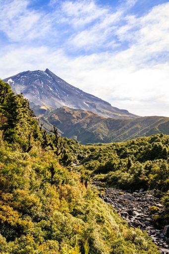 A scenic vertical view of the beautiful Taranaki mountain surrounded by lush trees in New Zealand