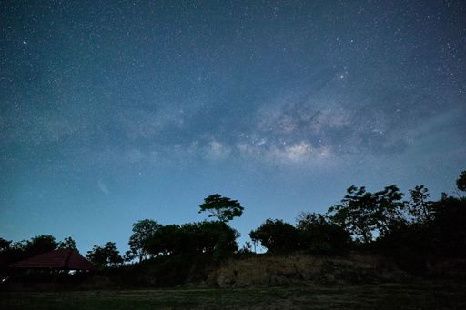 The mesmerizing starry night sky - great for a wallpaper