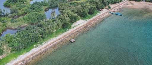 An aerial view of the seashore surrounded by trees in Lai Chi Chong, Hong Kong