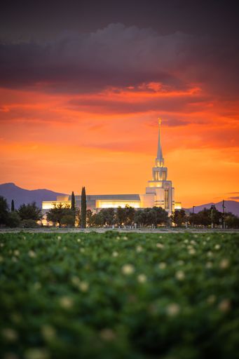 A vertical ground level shot of the beautiful Gila Valley Arizona Temple during a breathtaking sunset