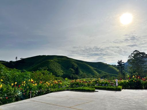 A place that can see the mountain view at the car park site when no one arrive yet in the early morning.