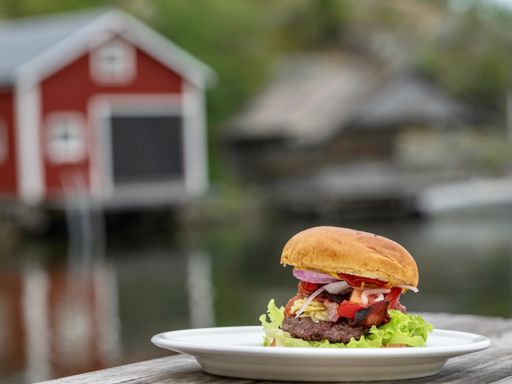 A closeup of delicious burger on plate