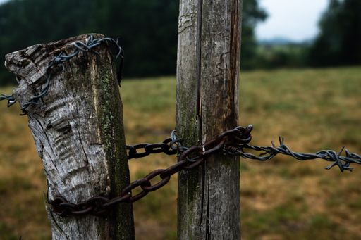 fence gate with barbwire at cattle farm