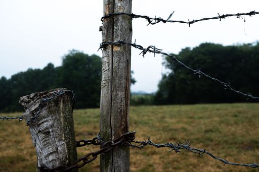 Fence gate with bardwire and chain at a cattle farm