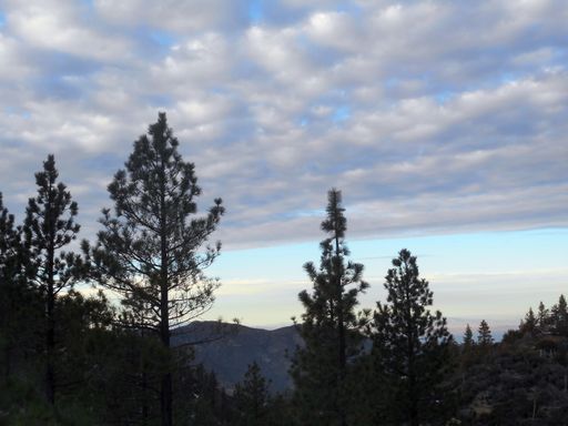 A low angle shot of a green scenery surrounded by mountains under the cloudy sky during evening time