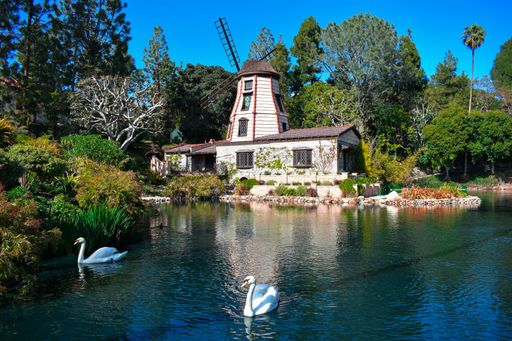 A beautiful shot of a country estate with a swan lake surrounded by a green scenery