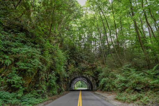An empty road in the countryside leading into a tunnel surrounded by lush green trees and hills