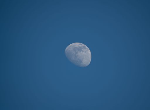 A beautiful almost full white moon in a blue sunset sky
