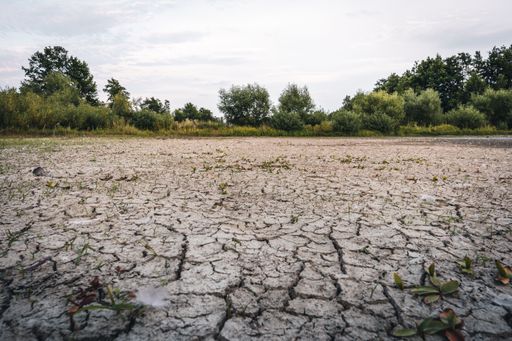 Drying up lake in Bavaria Germany from extreme weather and summer heatwave, climate change and drought