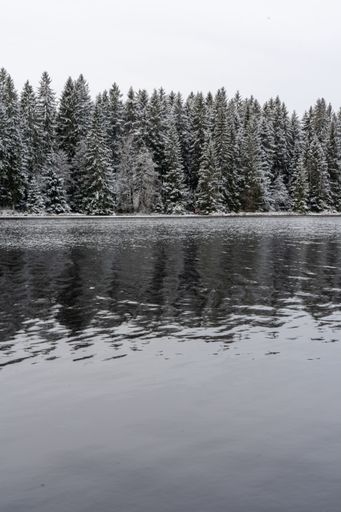 A vertical shot of a icy lake with snowy trees on the shore in a park in Bavaria, Germany