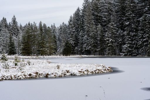 An icy lake with snowy trees on the shore in a park in Bavaria, Germany