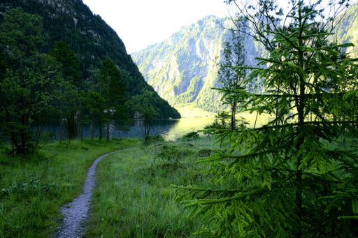 A beautiful shot of a green landscape during the day