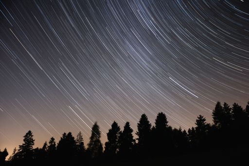 A landscape of a forest under a beautiful starry sky with long exposure at night