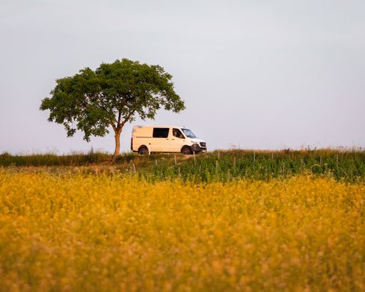 A van passing a field covered in the grass and yellow trees under a cloudy sky in the countryside