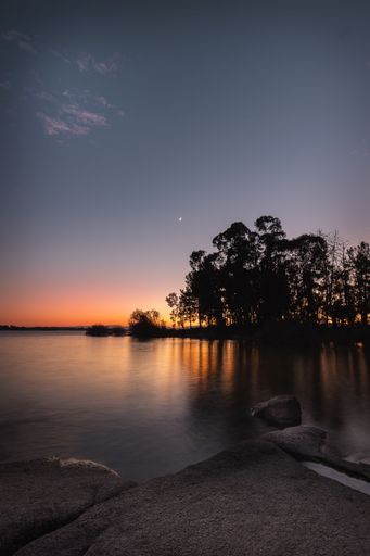 A vertical shot of a waterscape during sunset with trees and a beautiful skyline in the background