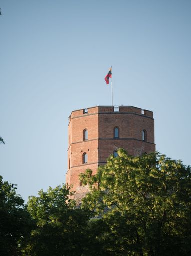 The Gediminas Castle Tower with the flag of Lithuania on a roof and trees in a foreground
