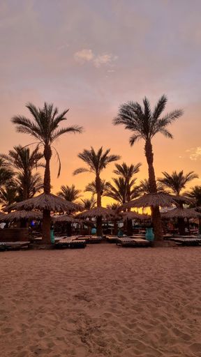 A vertical shot of a sandy beach with palm trees and wooden brollies during sunset