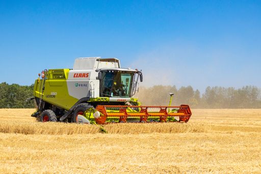 A combine harvester harvesting ripe golden wheat on the field