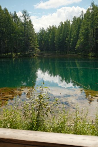 A vertical shot of a lake surrounded by pine trees under a cloudy sky in Mackinac Island, Michigan