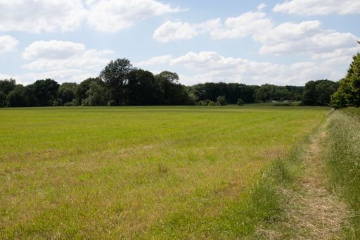 A grass field with trees in the background captured on a cloudy day