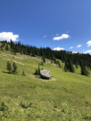 A beautiful scenery of Powderface east ridge trail, Kananaskis, Alberta, Canada