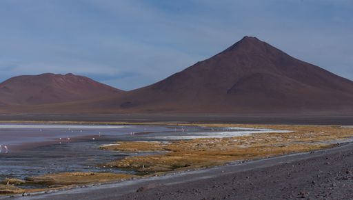 A beautiful shot of the Red Lagoon with an inactive volcano in the background in Cordillera, Bolivia