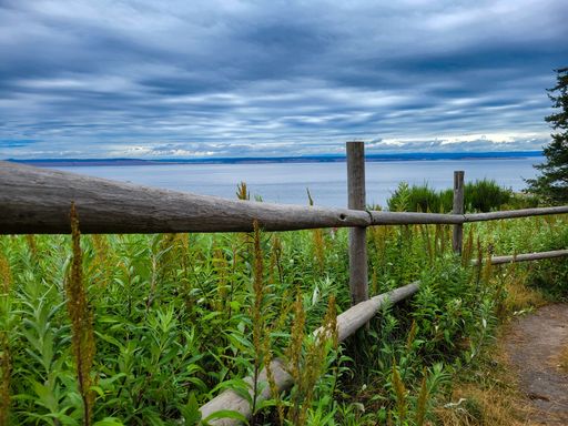 A scenic view of plants with a beach in the background on a stormy day