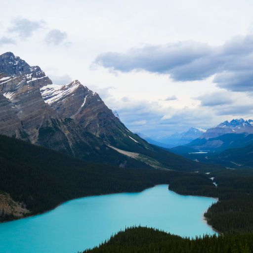 A breathtaking view of the Peyto lake surrounded by mountains on a cloudy day in Alberta, Canada