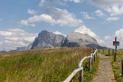 A meadow of the Alpe di Siusi in the Dolomites mountain range, South Tyrol, Italy