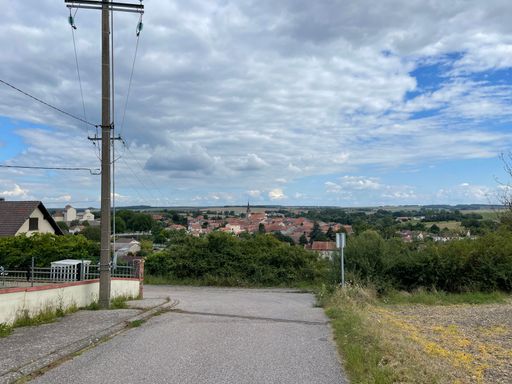 An empty street in the countryside leading to a small town with brown-roofed houses under a cloudy sky