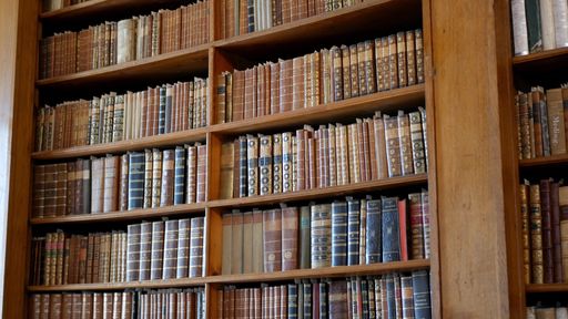Beautiful vintage bookshelves in the library in Hungary