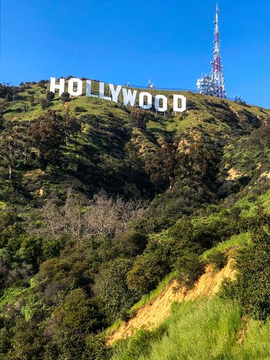 A vertical shot of the Hollywood sign on the green hillside