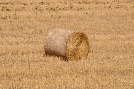 A closeup shot of a bale of straw on a stubble