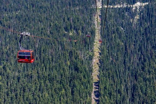 A high angle shot of a cable car line riding through the forest on the Peak Cablecar, Whistler in Canada