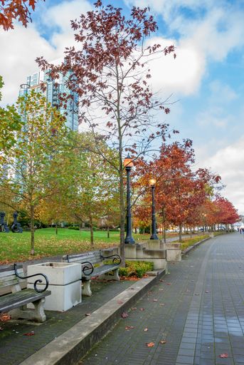 A vertical shot of a walking area in the park of Vancouver, BC, Canada in autumn