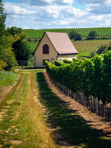 A vertical shot of a small house with picturesque landscape, vineyards and cloudy sky