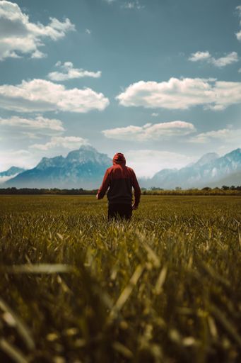 A vertical shot of a man from behind walking towards mountains in a field