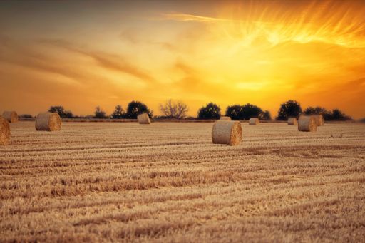 An aerial view of a rural brown field with hay bales under an orange sunset sky