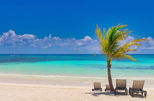 A beautiful scenery beach chairs under a palm tree on a sandy Caribbean coastline in Mexico